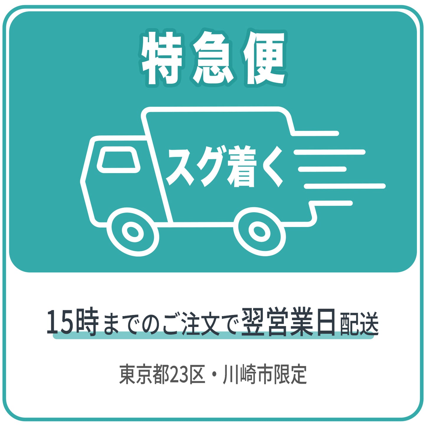 特急便チケット 東京23区 川崎市限定